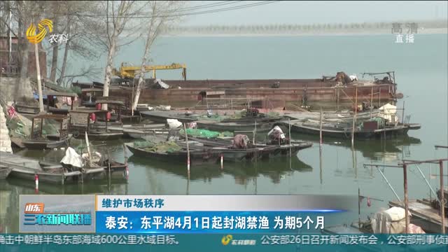 【维护市场秩序】泰安：东平湖4月1日起封湖禁渔 为期5个月