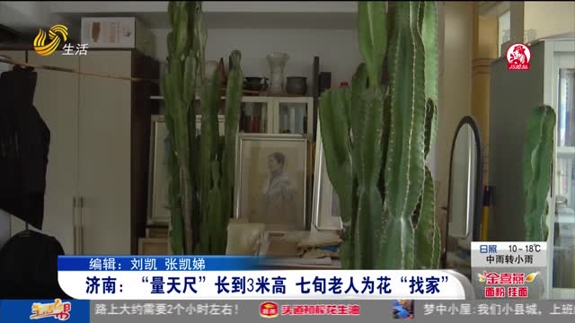 济南：“量天尺”长到3米高 七旬老人为花“找家”