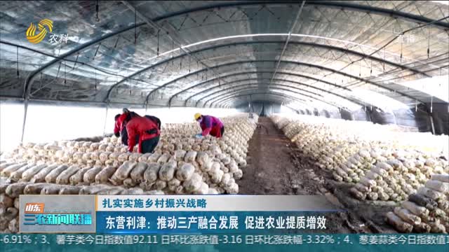 【扎实实施乡村振兴战略】东营利津：推动三产融合发展 促进农业提质增效