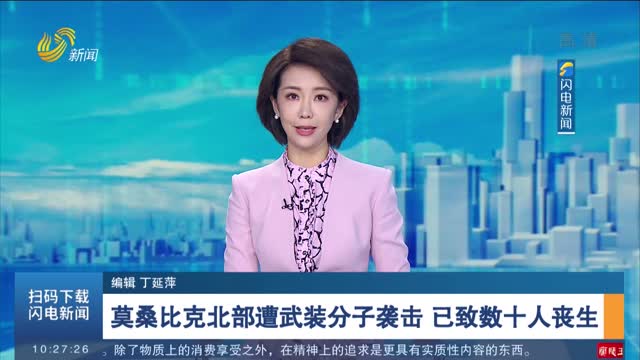 莫桑比克北部遭武装分子袭击 已致数十人丧生