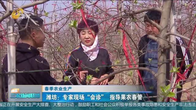 【春季农业生产】潍坊：专家现场“会诊”指导果农春管