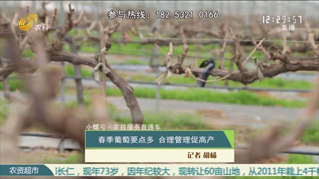 【小螺号·农技服务直通车】春季葡萄要点多 合理管理促高产