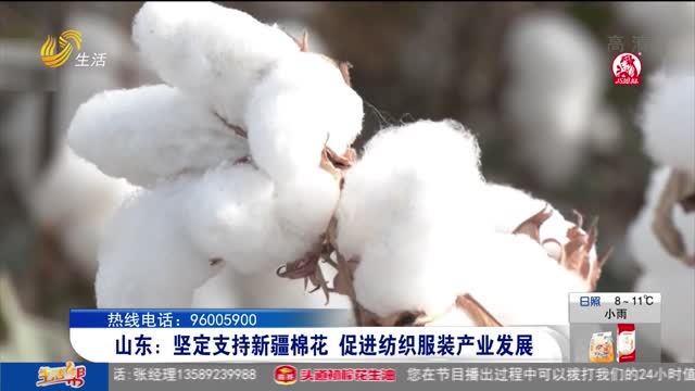 山东：坚定支持新疆棉花 促进纺织服装产业发展