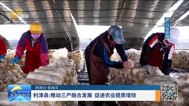 利津县：推动三产融合发展 促进农业提质增效
