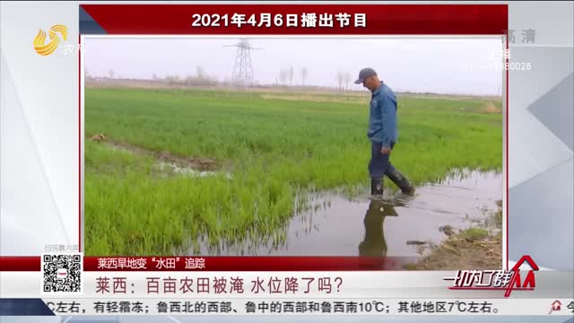 【莱西旱地变“水田”追踪】莱西：百亩农田被淹 水位降了吗？