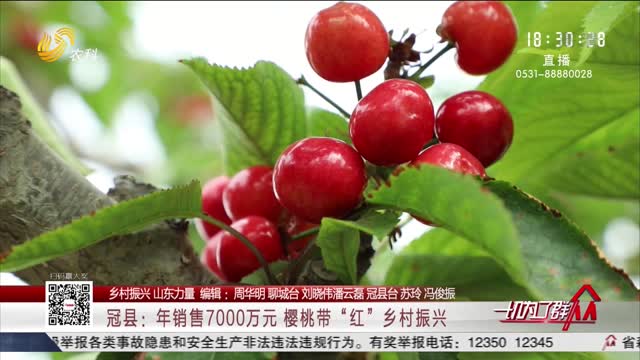【乡村振兴 山东力量】冠县：年销售7000万元 樱桃带“红”乡村振兴