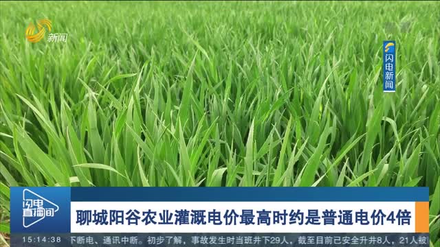 【闪电调查】聊城阳谷农业灌溉电价最高时约是普通电价4倍