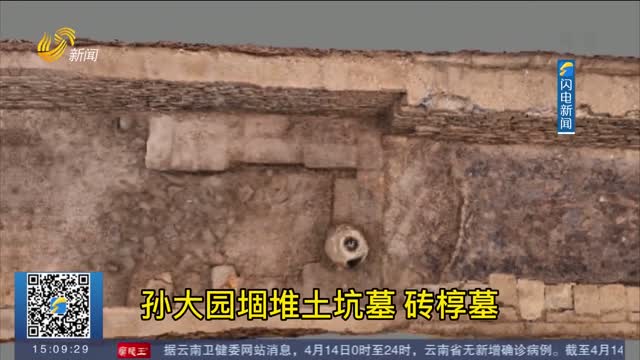 【考古新发现】菏泽考古遗址挖出“萌”兽