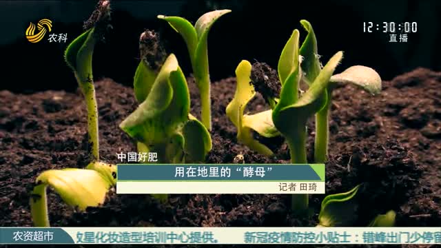 【中国好肥】用在地里的“酵母”