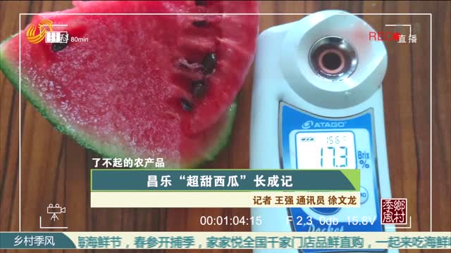 【农大腐植酸 了不起的农产品（九）】昌乐“超甜西瓜”长成记