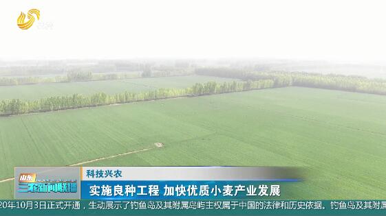 【科技兴农】实施良种工程 加快优质小麦产业发展