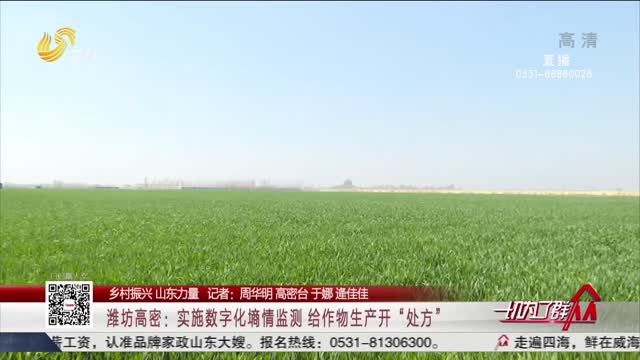 【乡村振兴 山东力量】潍坊高密：实施数字化墒情监测 给作物生产开“处方”