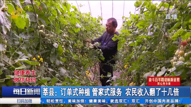 莘县：订单式种植 管家式服务 农民收入翻了十几倍