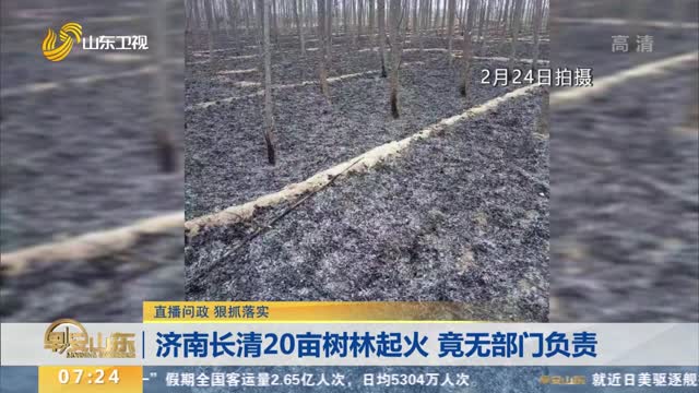 【直播问政 狠抓落实】济南长清20亩树林起火 竟无部门负责