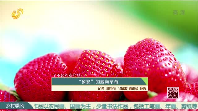 【了不起的农产品】“多彩”的威海草莓