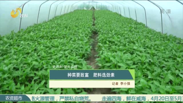 【史丹利·星光农场】种菜要致富 肥料选劲素