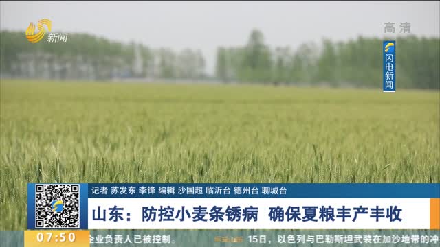 山东：防控小麦条锈病 确保夏粮丰产丰收
