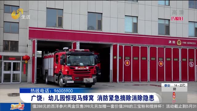 广饶：幼儿园惊险马蜂窝 消防紧急摘除消除隐患