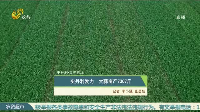 【史丹利·星光农场】史丹利发力 大蒜亩产7307斤