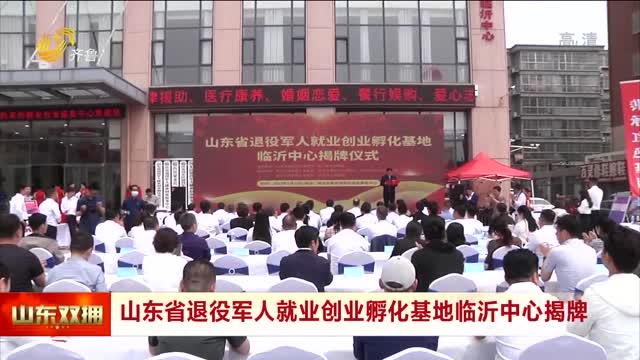 山东省退役军人就业创业孵化基地临沂中心揭牌