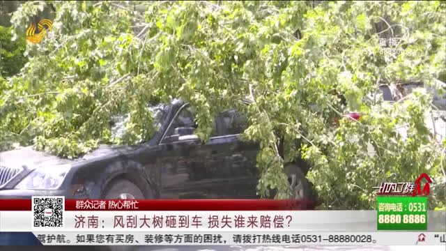 【群众记者 热心帮忙】济南：风刮大树砸到车 损失谁来赔偿？