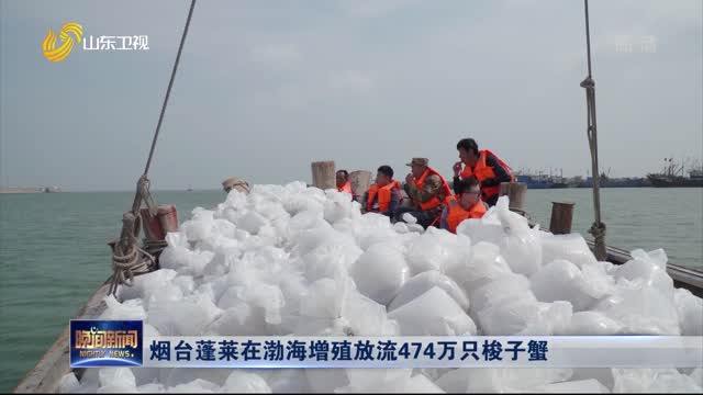 烟台蓬莱在渤海增殖放流474万只梭子蟹