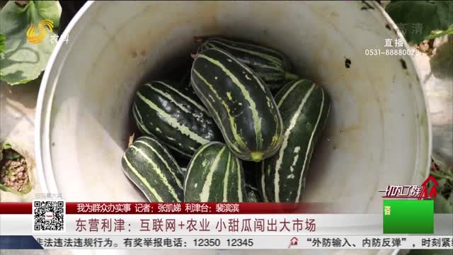 【我为群众办实事】东营利津：互联网+农业 小甜瓜闯出大市场