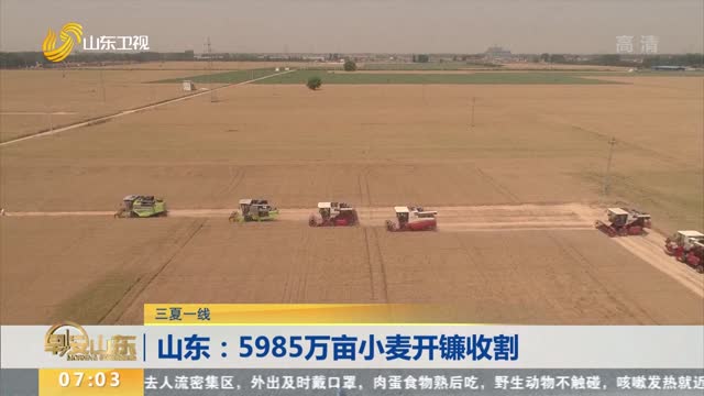 【三夏一线】山东：5985万亩小麦开镰收割
