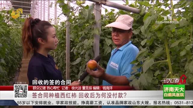 【群众记者 热心帮忙】签合同种植西红柿 回收后为何没付款？