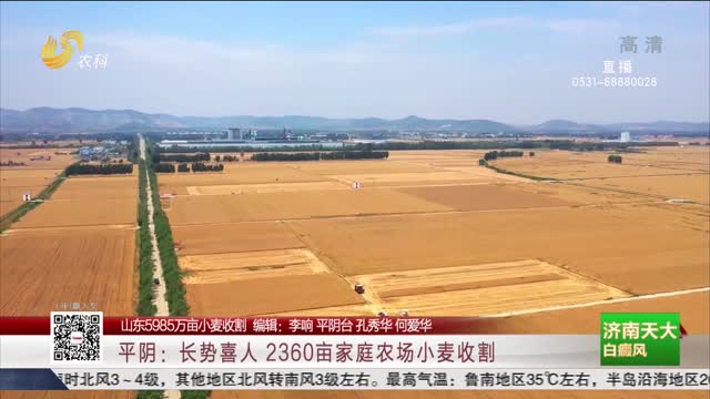 【山东5985万亩小麦收割】平阴：长势喜人 2360亩家庭农场小麦收割
