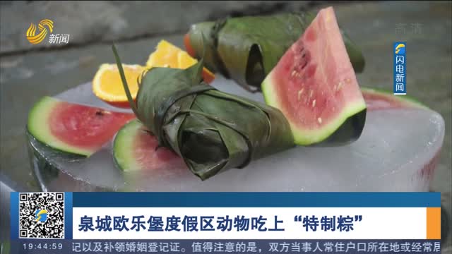 泉城欧乐堡度假区动物吃上“特制粽”