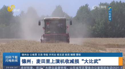 【三夏一线】山东收获小麦2795.9万亩 占应收面积近五成