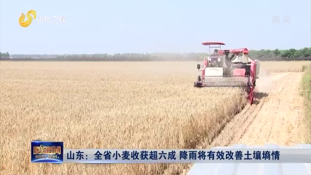 山东：全省小麦收获超六成 降雨将有效改善土壤墒情