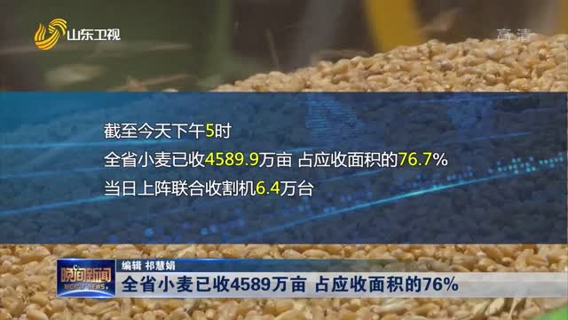 全省小麦已收4589万亩 占应收面积的76%