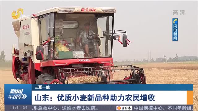 【三夏一线】山东：优质小麦新品种助力农民增收