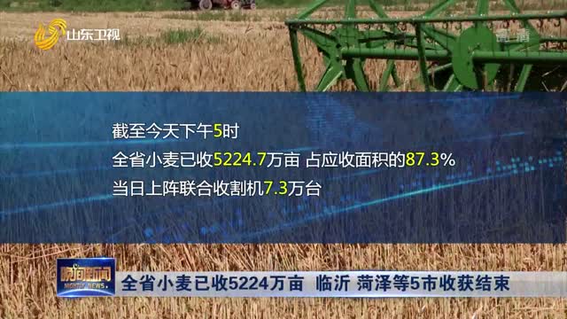全省小麦已收5224万亩 临沂 菏泽等5市收获结束