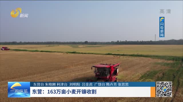 东营：163万亩小麦开镰收割