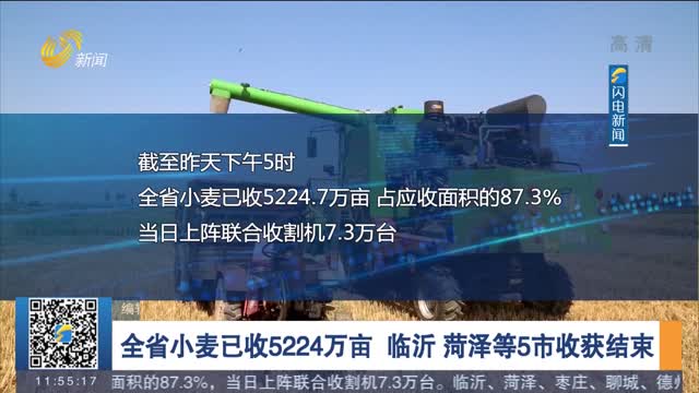 【三夏一线】全省小麦已收5224万亩 临沂 菏泽等5市收获结束
