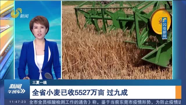 【三夏一线】全省小麦已收5527万亩 过九成