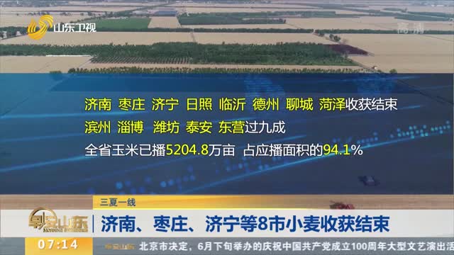 【三夏一线】济南、枣庄、济宁等8市小麦收获结束