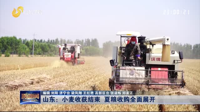 山东：小麦收获结束 夏粮收购全面展开