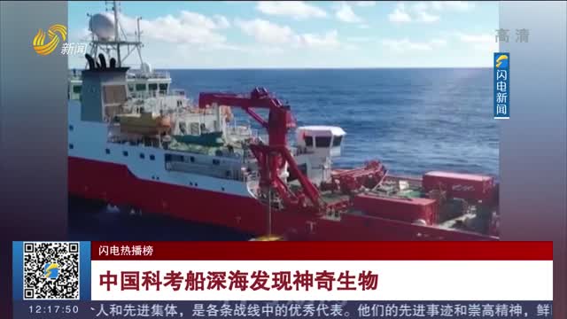 【闪电热播榜】中国科考船深海发现神奇生物