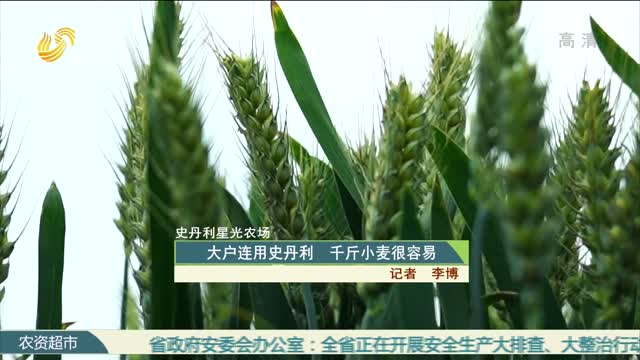 【史丹利·星光农场】大户连用史丹利 千斤小麦很容易