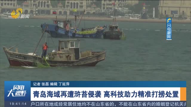 【海上打“浒”记】青岛海域再遭浒苔侵袭 高科技助力精准打捞处置