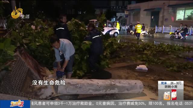 济南：狂风暴雨突袭 大树倒地砸车