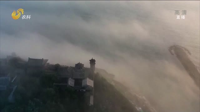 烟台蓬莱：如梦似幻的平流雾景观