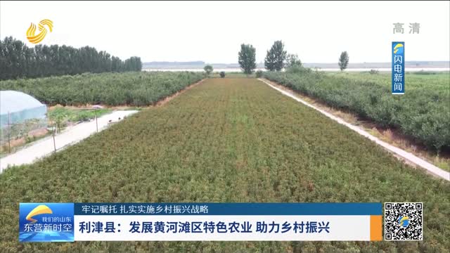 利津县：发展黄河滩区特色农业 助力乡村振兴