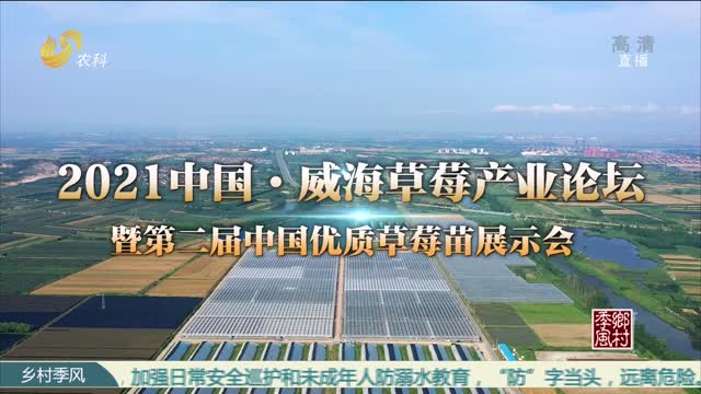 2021中国·威海草莓产业论坛暨第二届中国优质草莓苗展示会