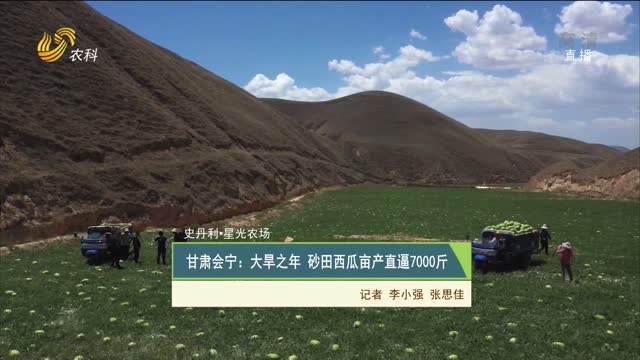 【史丹利·星光农场】甘肃会宁：大旱之年 砂田西瓜亩产直逼7000斤