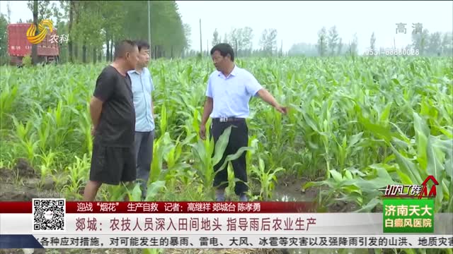 【迎战“烟花” 生产自救】郯城：农技人员深入田间地头 指导雨后农业生产